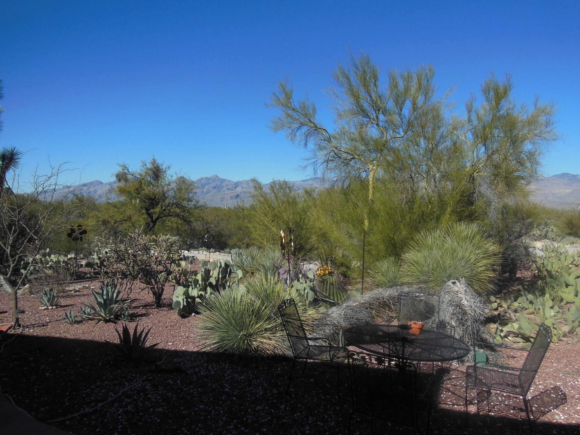 The Suncatcher Fine Country Inn Tanque Verde Exteriör bild